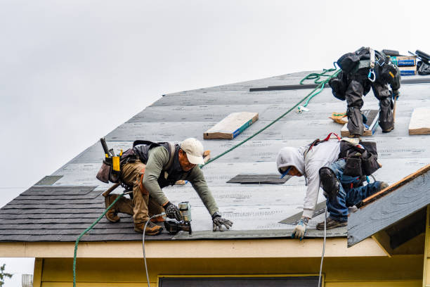 Professional Roofing technician working in Crewe, VA